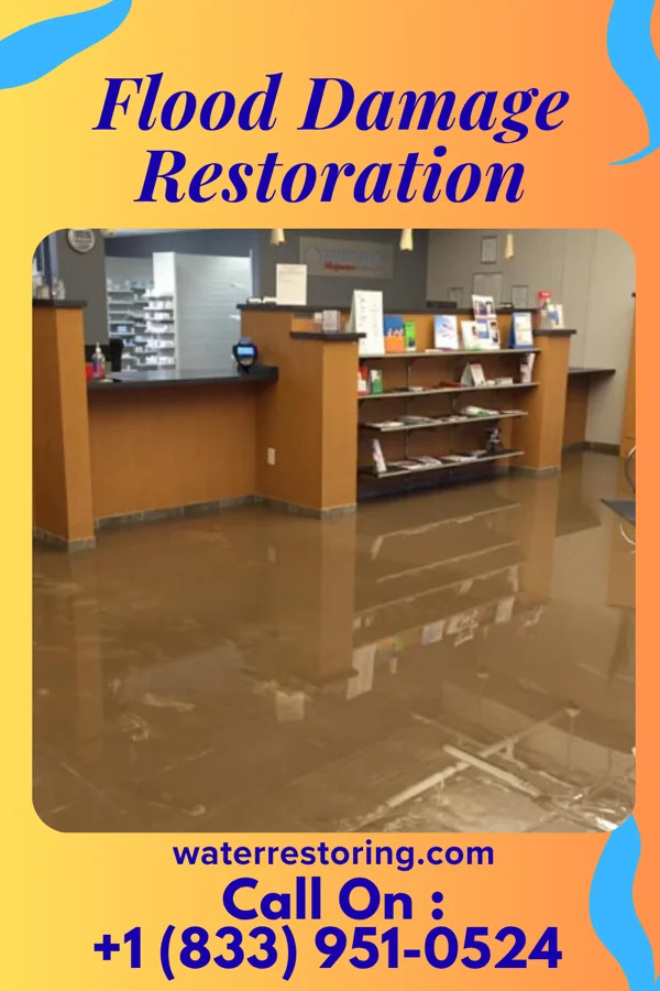 Flood Damage Restoration in Hanaford, IL