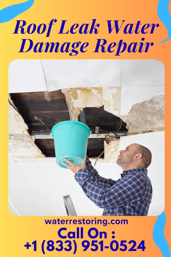 Roof Leak Water Damage Repair in Hanaford, IL